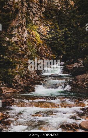 Acqua esuberante che scorre in un ruscello di pietra sull'altopiano A Karadeniz Foto Stock