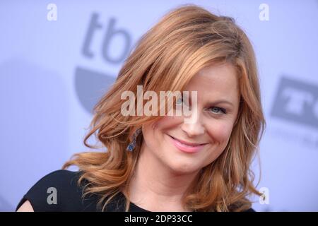 Amy Poehler partecipa al 2015 AFI Life Achievement Award Gala Tribute in onore di Steve Martin al Dolby Theatre il 4 giugno 2015 a Los Angeles, California, USA. Foto di Lionel Hahn/ABACAPRESS.COM Foto Stock