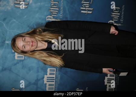 Celine Balitran arriva all'anteprima della mostra di Harry Potter che si è tenuta presso la Cite Du Cinema di Saint Denis, vicino a Parigi, Francia, il 2 aprile 2015. Foto di Jerome Domine/ABACAPRESS.COM Foto Stock