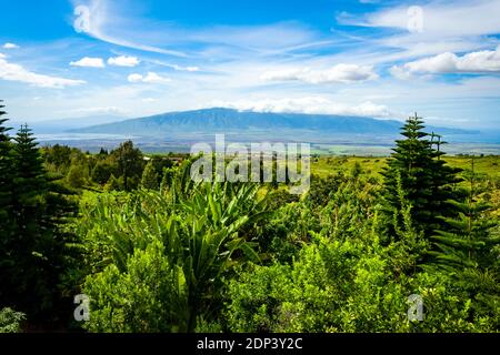 Maui, Hawaii, Upcountry, Sun Yat-Sen Memorial Park, vicino alla vista del centro di Maui Foto Stock