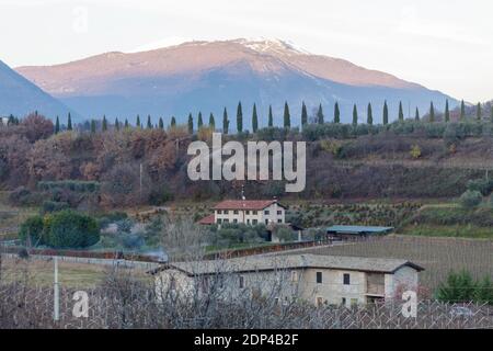 Splendida vista sul Monte Baldo innevato e sul sentiero con cipressi dalle Velleselle sulle colline di Bardolino. Foto Stock