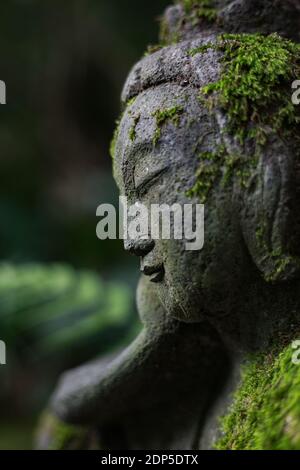 Statue buddiste trovate nei templi giapponesi. Foto Stock