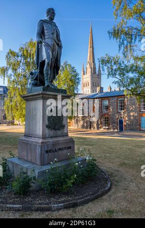 Vista della statua di Wellington e della cattedrale di Norwich, Norfolk, Inghilterra, Regno Unito, Europa Foto Stock