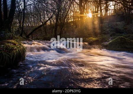 Nel tardo pomeriggio luce del sole mentre il fiume Fowey scorre lungo Golitha Falls nello storico e antico bosco Draynes Wood in Cornovaglia. Foto Stock