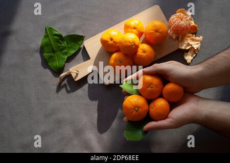 mandarini sulla mano dell'uomo, fondo grigio, nella luce del giorno Foto Stock