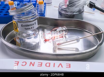 Esperto di polizia diventa campione di sangue dalla rottura di un vaso di vetro in laboratorio Criminalistic, immagine concettuale Foto Stock