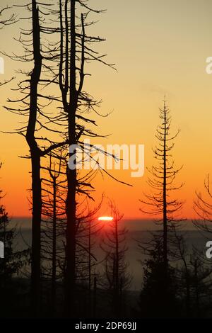 Schierke, Germania. 19 dicembre 2020. All'alba sulle montagne Harz, il cielo colora l'orizzonte. In primo piano sono alberi morti. Nei prossimi giorni c'è un cambiamento nel tempo. Il sole si mostrerà meno spesso. Credit: Matrhias Bein/dpa-Zentralbild/dpa/Alamy Live News Foto Stock