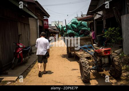 LAOS - AMBIENTE - 4000 Ritratto DELL'ISOLA del territorio delle 4000 isole (si Phan Don), nell'estremo sud del Laos, dove si trova la famosa diga di Don Sahong Foto Stock