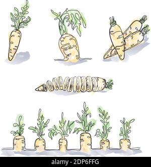 Set con immagini colorate di carote realizzate in stile minimalista e dipinte in effetto acquerello Illustrazione Vettoriale