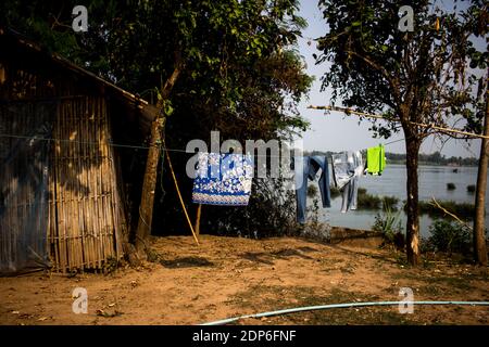 LAOS - AMBIENTE - 4000 Ritratto DELL'ISOLA del territorio delle 4000 isole (si Phan Don), nell'estremo sud del Laos, dove si trova la famosa diga di Don Sahong Foto Stock