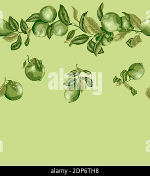 Motivo senza cuciture con rami di limone e lime. Grafica vintage in colori verde oliva con linea di rami d'albero e frutta foir qualsiasi tessuto e stampa pu Illustrazione Vettoriale