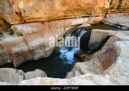 Cascata in Ein Prat - Wadi Kelt, deserto della Giudea, Israele Foto Stock