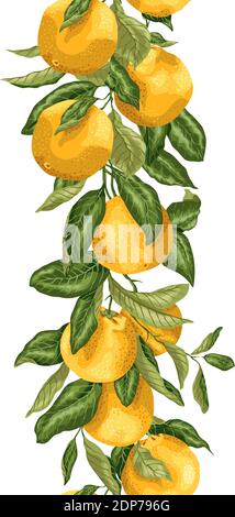 Motivo verticale senza cuciture con una linea di frutta arancione ramo ad albero in grafica vertor con colori naturali brillanti Illustrazione Vettoriale