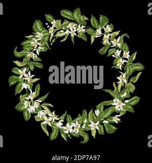 Citrus Branch Line Wreath con fiori in fiore e minuscoli frutti. Illustrazione vettoriale in colori brillanti Illustrazione Vettoriale