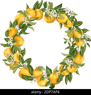 Corona ornamentale di agrumi arancio con frutta, fiori e foglie sui rami in luminoso disegno vettoriale illustrazione Illustrazione Vettoriale