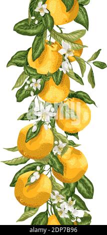 Linea di disegno verticale senza giunture con rami aranciati, frutti, fiori e foglie nel disegno grafico vettoriale Illustrazione Vettoriale