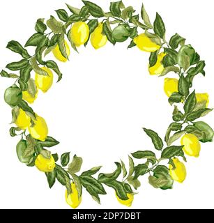 Corona di agrumi in grafica vettoriale con rami con frutta e foglie. Ci sono frutti gialli e verdi di limone Illustrazione Vettoriale