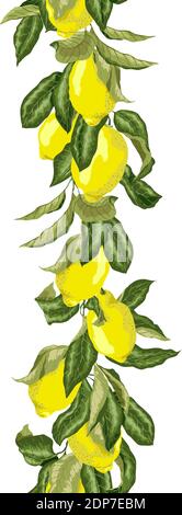 Linea verticale di pattern senza giunture in grafica vettoriale con rami con frutti e foglie. Ci sono frutti gialli e verdi di limone Illustrazione Vettoriale