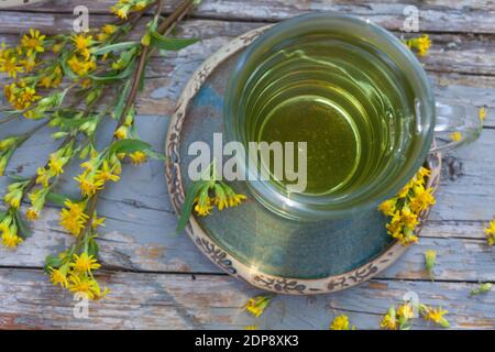 Goldruten-Tee, Goldrutentee, Goldrute-Tee, Goldrutetee, Tee aus Goldruten-Blüten, Heiltee, Kräutertee, Blütentee, Gewöhnliche Goldrute, Echte Goldrute Foto Stock