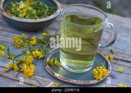 Goldruten-Tee, Goldrutentee, Goldrute-Tee, Goldrutetee, Tee aus Goldruten-Blüten, Heiltee, Kräutertee, Blütentee, Gewöhnliche Goldrute, Echte Goldrute Foto Stock