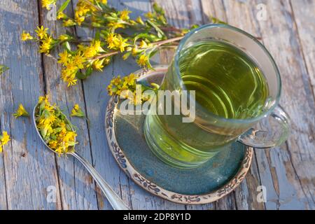 Goldruten-Tee, Goldrutentee, Goldrute-Tee, Goldrutetee, Tee aus Goldruten-Blüten, Heiltee, Kräutertee, Blütentee, Gewöhnliche Goldrute, Echte Goldrute Foto Stock