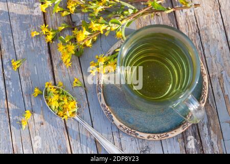 Goldruten-Tee, Goldrutentee, Goldrute-Tee, Goldrutetee, Tee aus Goldruten-Blüten, Heiltee, Kräutertee, Blütentee, Gewöhnliche Goldrute, Echte Goldrute Foto Stock