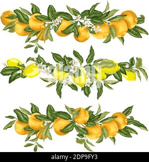 Impostare con modelli elementi del riquadro del bordo della testa in vettore realistico illustrazione grafica con frutti di limone e arancio su rami con fiore Illustrazione Vettoriale
