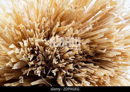 Primo piano di estremità libere di fibra di colata su lato sinistro isolato su sfondo bianco con spazio per la copia Foto Stock