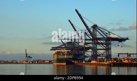 Felixstowe Dock Cranes e Container Ships in prima serata. Foto Stock