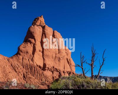 Scogliere alla luce del mattino, Kodachrome Basin state Park, Cannonville, Utah. Foto Stock