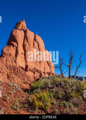 Scogliere alla luce del mattino, Kodachrome Basin state Park, Cannonville, Utah. Foto Stock