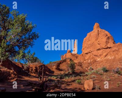 Scogliere alla luce del mattino, Kodachrome Basin state Park, Cannonville, Utah. Foto Stock