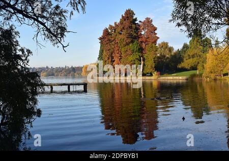 Autum a nord-ovest a Greenlake Park con moli, anatre e alberi. Greenlake - Seattle, Stati Uniti di Washington Foto Stock