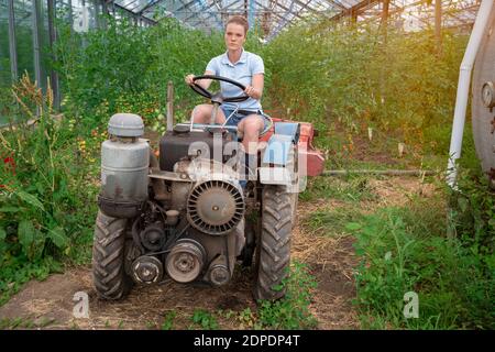 lavorare su un piccolo trattore in serra Foto Stock