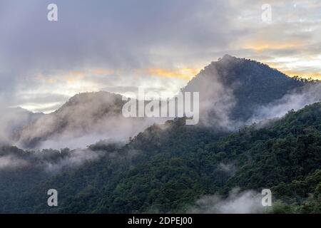 Alba paesaggio nella foresta di nuvole di Mindo, Ecuador. Foto Stock