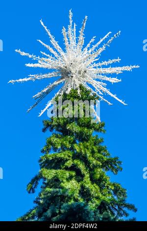 Decorazione di nuovo anno, decorazione dell'abete di Natale sulla strada con una stella grande su una cima. Stagione di festa. Sfondo blu cielo. Foto di alta qualità Foto Stock