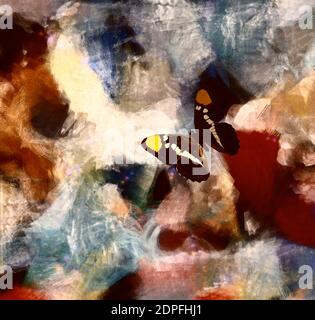 Pittura astratta su tela e farfalla Foto Stock