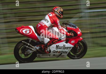 Max Biaggi (ITA),Honda 500, GP D'Olanda 500, Assen 1998, Foto Stock