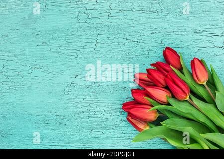 Bouquet di tulipani rossi su sfondo di legno blu. Spazio di copia Foto Stock