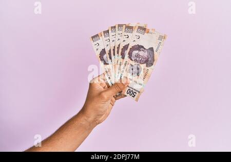 Mano ispanica che tiene 500 pesos messicani banconote su sfondo rosa isolato. Foto Stock