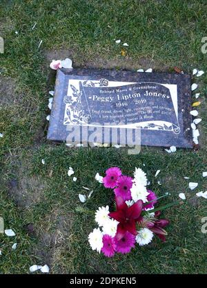 Culver City, California, USA 18 dicembre 2020 UNA visione generale dell'atmosfera dell'attrice Peggy Lipton's grave a Hillside Memorial Park il 18 dicembre 2020 a Culver City, California, USA. Foto di Barry King/Alamy Stock foto Foto Stock