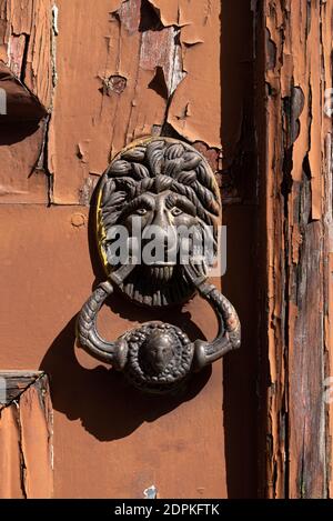 Un bussatore di ferro a forma di testa di leone, dimenticato in una vecchia porta e sbucciato nel corso degli anni. Foto Stock