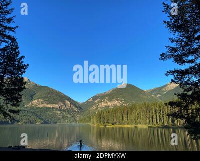 All'alba, un uomo vade in un lago nella campagna del Montana. Foto Stock