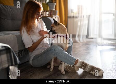 Donna felice in abito casual e calze che danno spuntino a. cane mentre si siede sul pavimento vicino al divano a casa Foto Stock