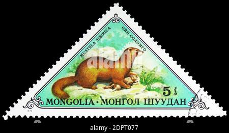 MOSCA, RUSSIA - 26 SETTEMBRE 2018: Un francobollo stampato in Mongolia mostra Siberian Weasel (Mustela sibirica), serie di animali, circa 1973 Foto Stock