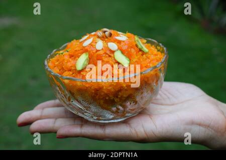 Gustoso gajar ka halwa decorato con frutta secca. Dessert indiano di budino di carote grattugiate servito in ciotola. Donna mano che serve dolce con cucchiaio Foto Stock