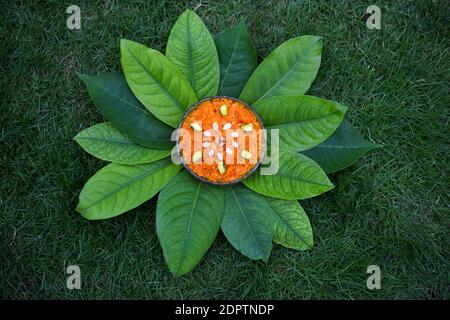 Gustoso gajar ka halwa decorato con frutta secca. Dessert indiano di budino di carote grattugiate servito in ciotola. Donna mano che serve dolce con cucchiaio Foto Stock