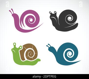 Vettore di una lumaca su sfondo bianco. Illustrazione vettoriale a livelli facilmente modificabile. Animali selvatici. Illustrazione Vettoriale