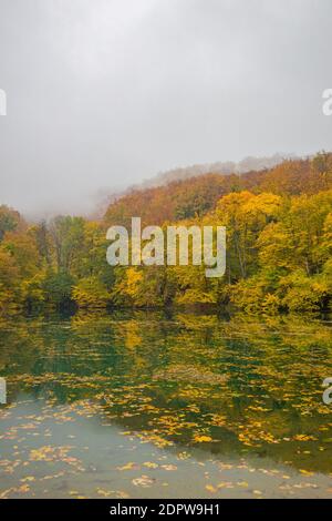 Bellissimo lago d'autunno colorato. Incredibile riflesso d'acqua, tranquillo paesaggio naturale. Foglie di arancio giallo, luce mistosa del mattino. Relax autunnale caduta Foto Stock