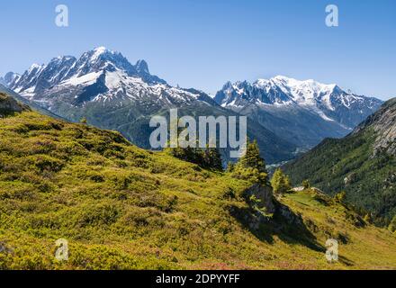 Vista sulla valle, panorama montano da Aiguillette de Poisettes, Aiguille Verte sinistra, Aiguille du Midi destra e Monte Bianco, Chamonix Foto Stock